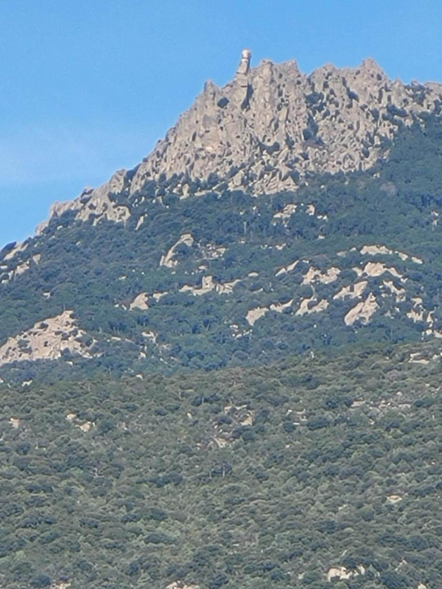 Argiale - Arghjale Villa Figari  Kültér fotó